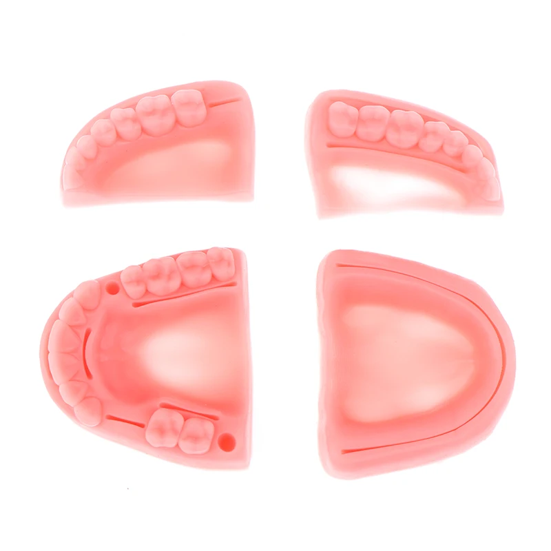 

Набор из 2/4 шт., силиконовые модули для обучения стоматологии SD&HI Oral/Gum suture training module