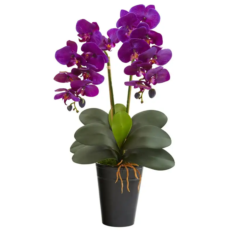 

23in. Double Phalaenopsis Orchid Artificial Arrangement in Vase