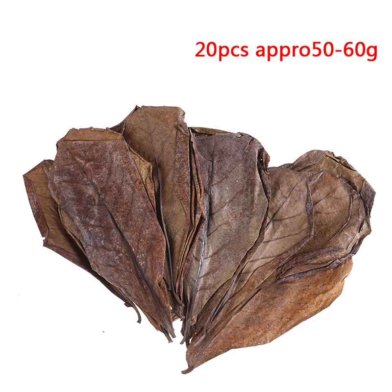 

20Pc Catappa Leaves Almond Tree Aquarium Clean Tool Terminalia Leaf about 50-60g Aquarium Fertilizers for Plants