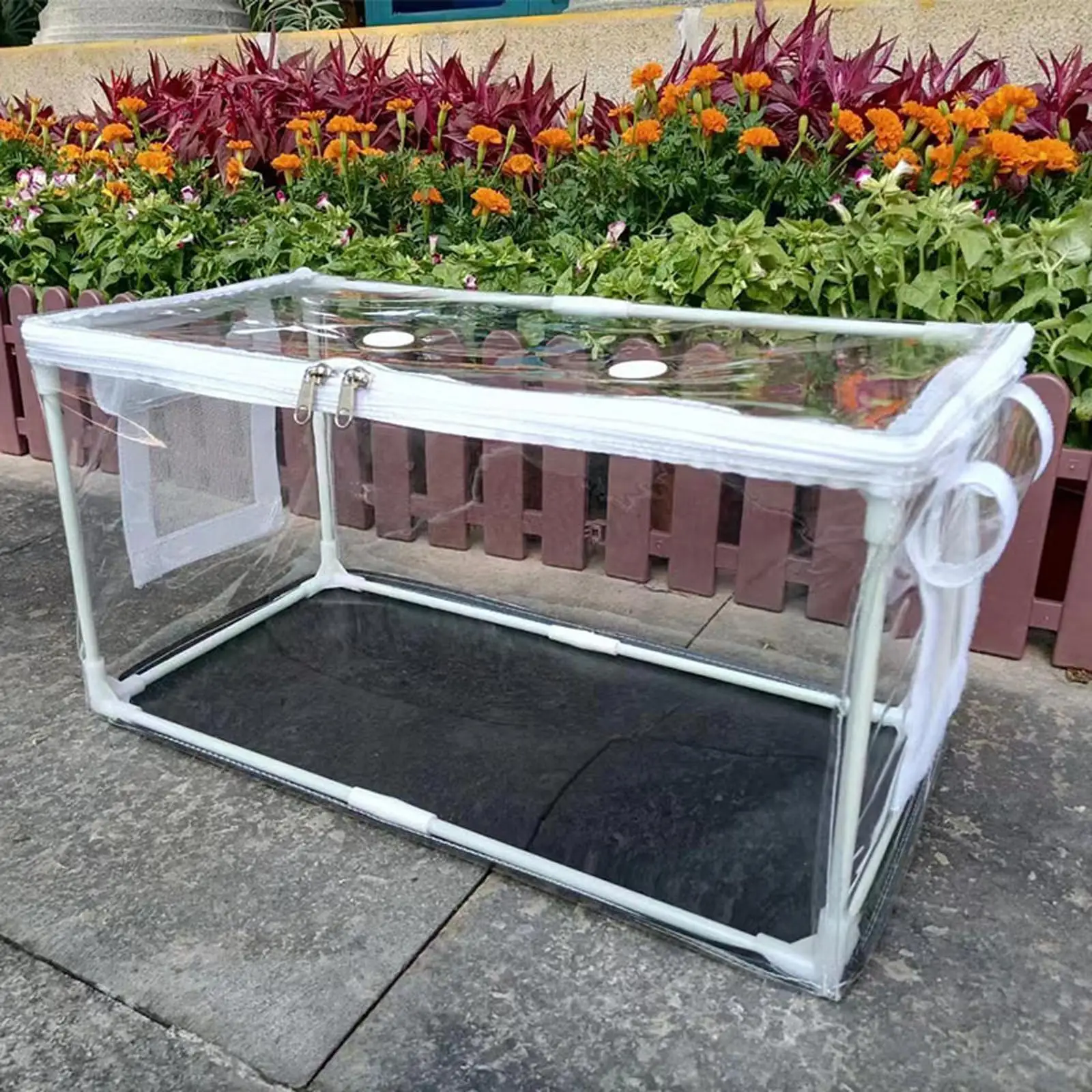 Контейнер для грибов комплект сделай сам садоводства компактный чехол теплиц