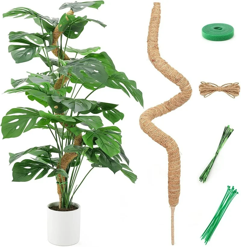 

1 Набор, стойка для подъема растений в помещении, трость для Моха, пальмовой лозы, трость для подъема растений, стойка для самостоятельного в...