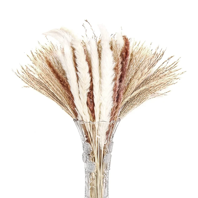 

Pampas Grass - 60Pcs Natural Pampas Grass Stems 17 Inch - Boho Home Decor For Bedroom, Living Room, Dining Room