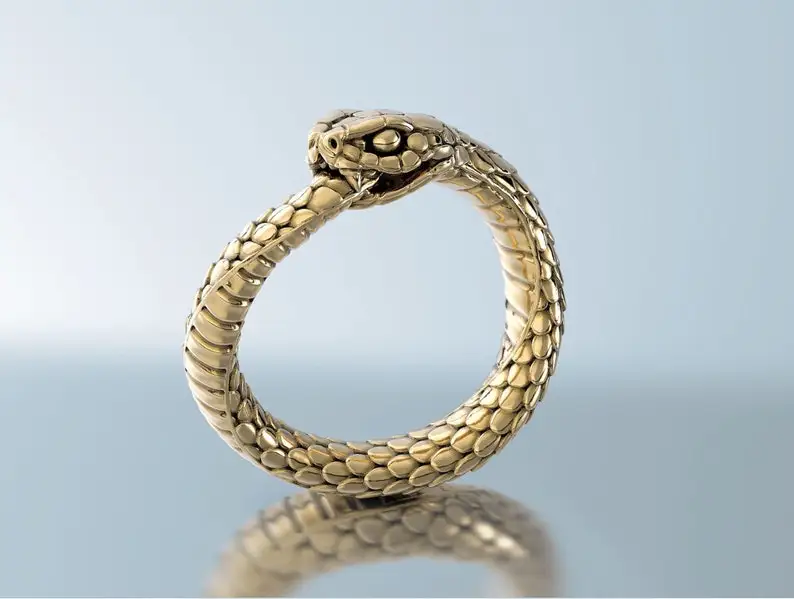 

Ouroboros Snake Ring， ring ， jewelry for women and men stainless steel jewelry