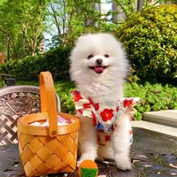 korean floral pet clothes spring and summer new flying sleeves short skirt teddy bear dress bitches beautiful clothes