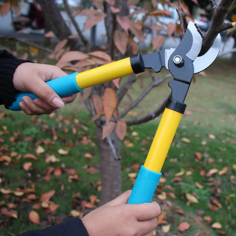 

Ножницы длинные Нескользящие с рукояткой, ручной инструмент с храповым механизмом для обрезки лески и ветвей дерева