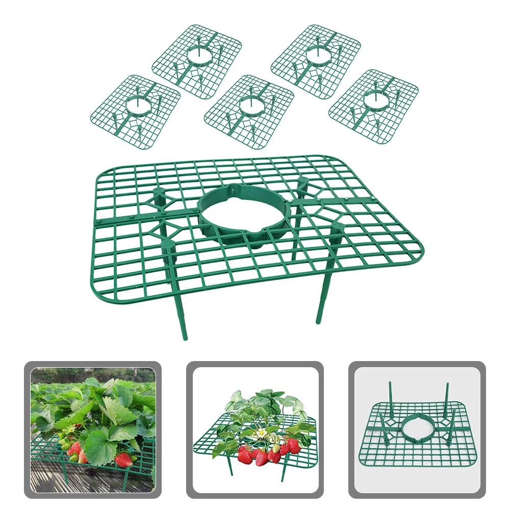 

Climb A Tree Garden Tools Strawberry Racks Climbing Vine Growing Support Supports Frame