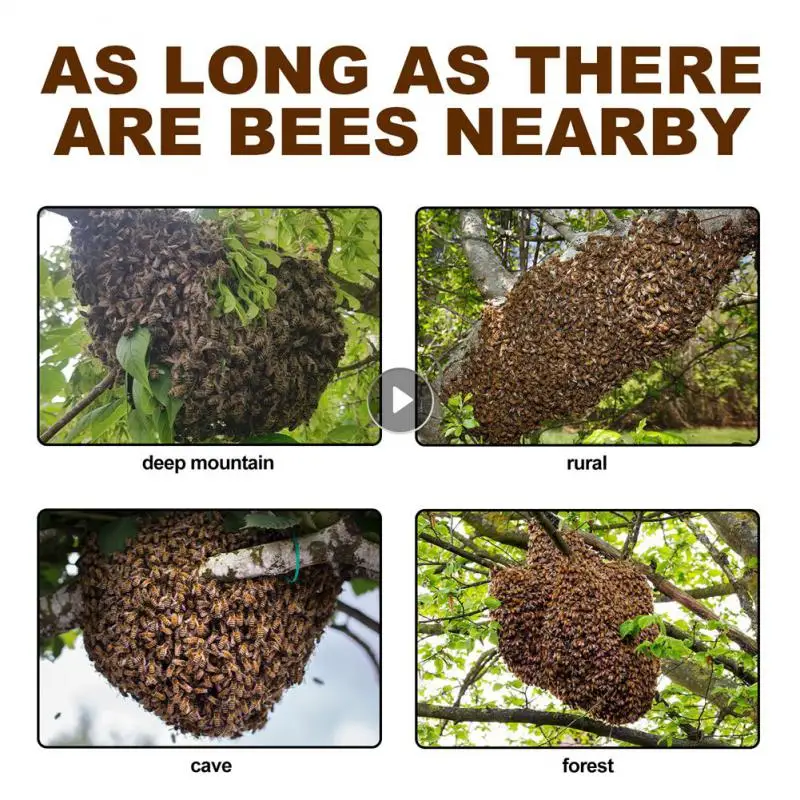 

Набор пчелиных приманок, 60 мл