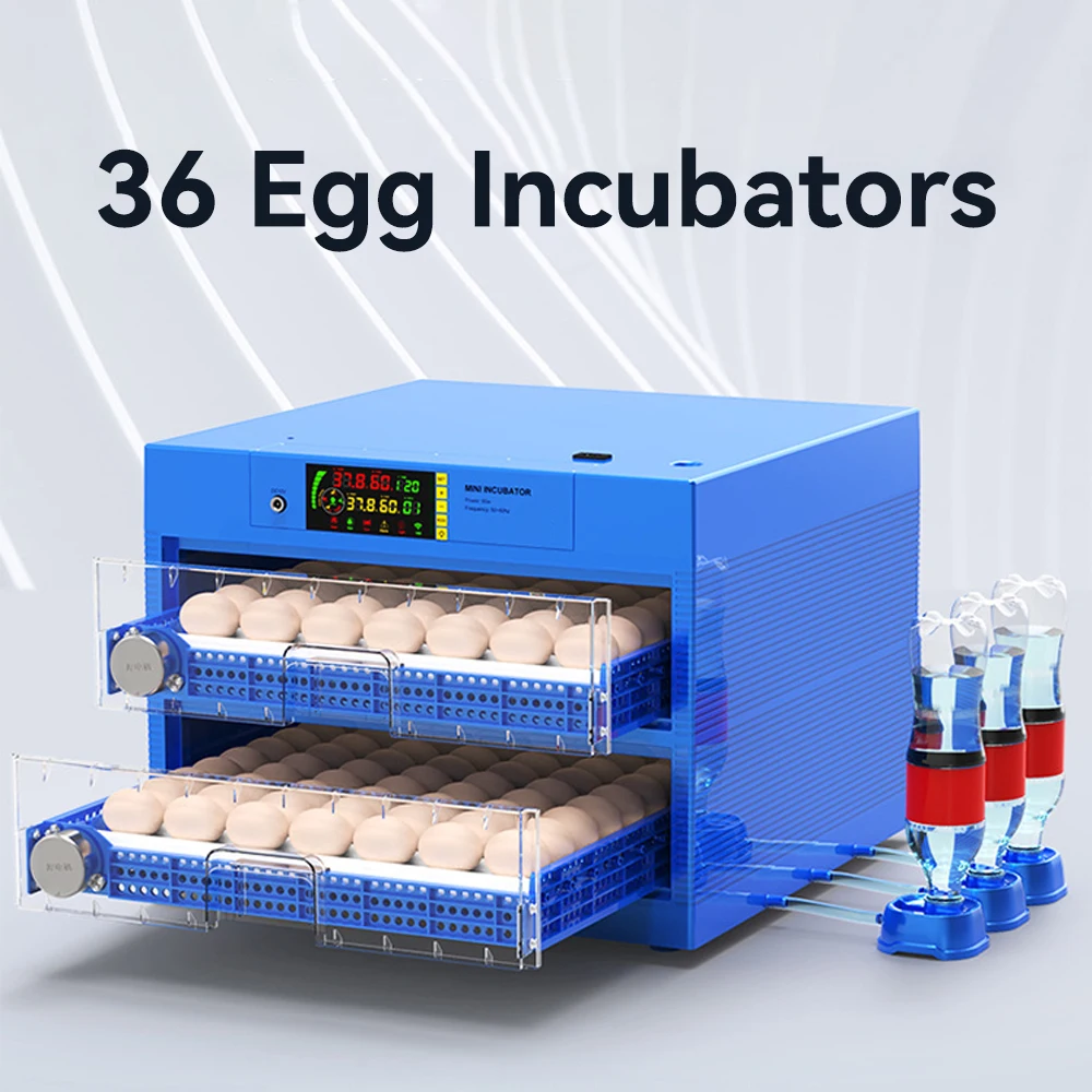 

36 Eggs Incubator With Drawer Type Mini Egg Incubator With Automatic Water Ionic Waterbed Replenishment And Temperature Control