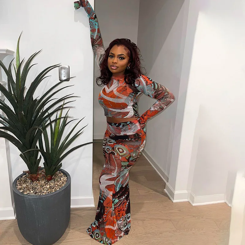 

Женское летнее платье с длинным рукавом, соблазнительное привлекательное длинное платье с сетчатым принтом, в двух цветах