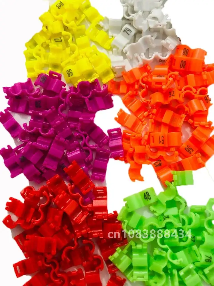 60 шт. внутреннее 2 7/4/4 5/5 мм кольцо-зажим для канарки кольца ног птицы голубя