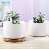 white porcelain flower pot modern minimalist ceramic succulents home gardening flower pot