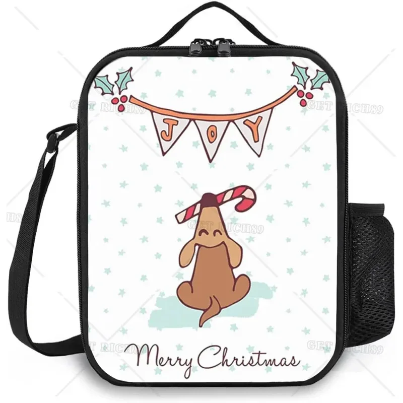 Рождественские современные сумки для обеда с шапочкой зебры Санты женщин