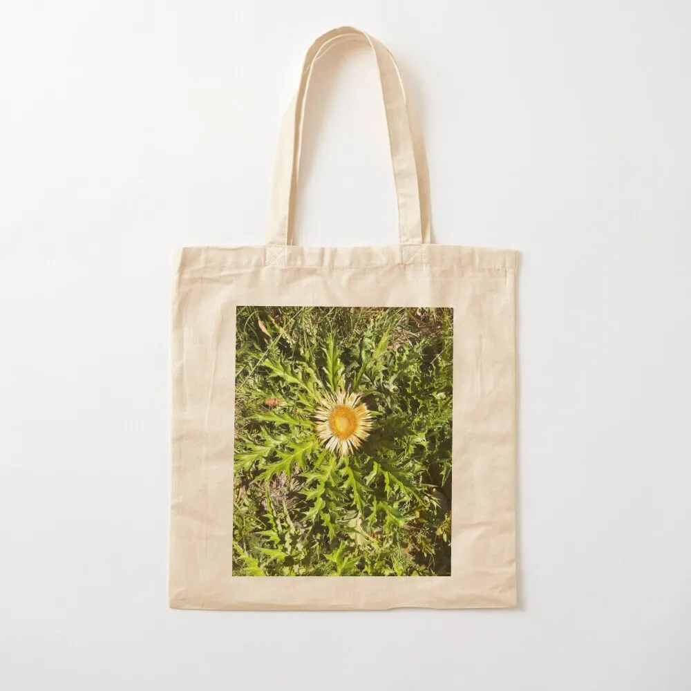 Eguzkilore большая сумка холщовая женские сумки 2025 холщовые сумки-тоут многоразовые