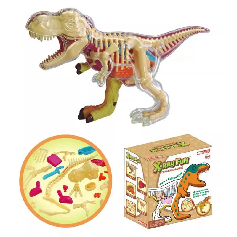 

Анатомическая модель тираннозавра 4D Master Q Edition