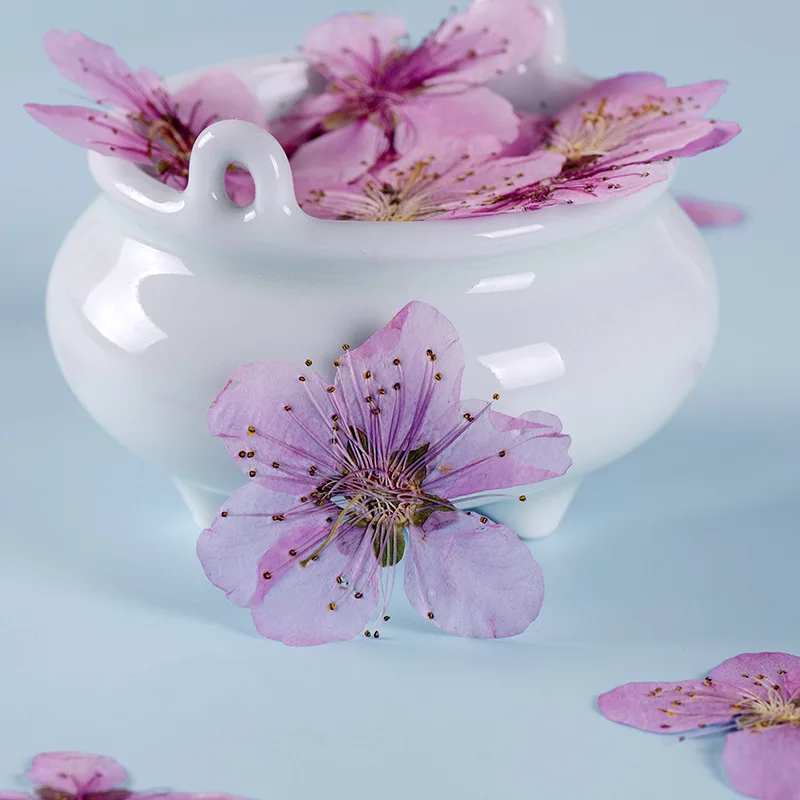 

Pressed Flower Amygdalus Persica Dried Flower Scrapbooking DIY Resin Jewelry Crafts Nails Decor Candle Soap Making 12pcs/bag