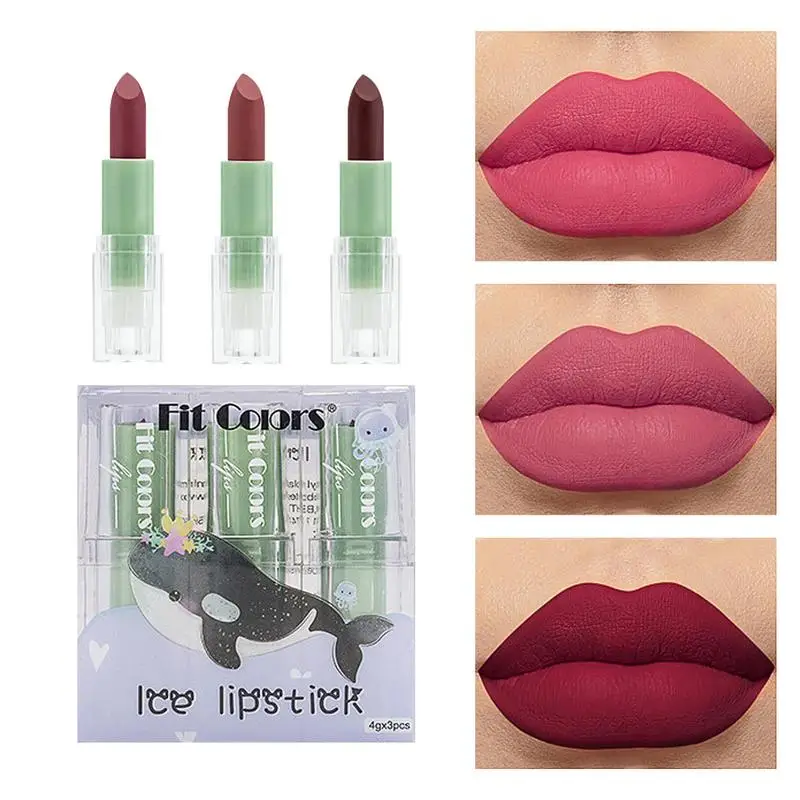 

3 шт. набор стойких помад, портативный набор глазури для губ, антипригарный блеск для губ, матовый цвет, стойкий эффект, не выцветает губы