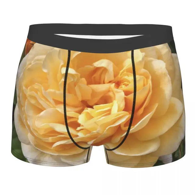 Eastsrt Style underwear