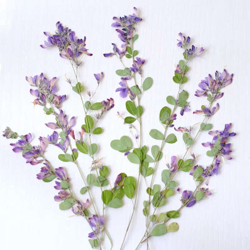 100 шт. двухцветные закладки для фотографий