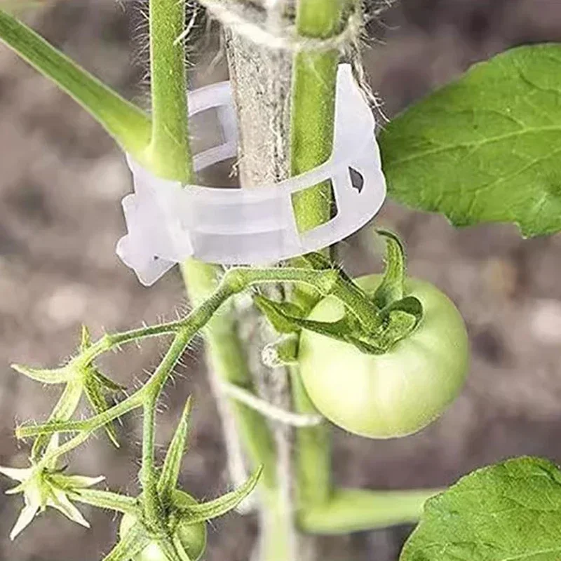 200/100 шт. зажимы для поддержки растений инструмент фиксации прививки овощей