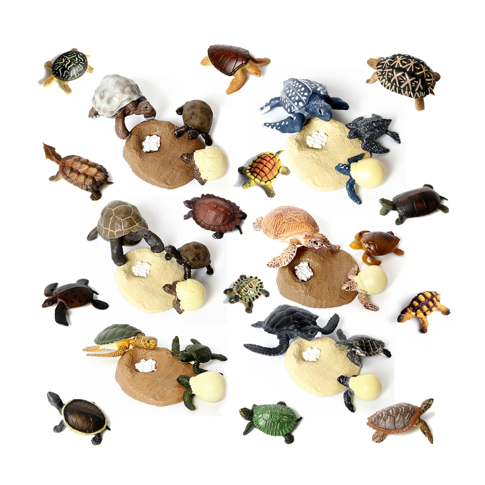 Realistic PVC Ocean Sea Turtle Figurines Animal,Tortoise Life Growth Cycle Biological Model Action Figure Educational Toys Gift