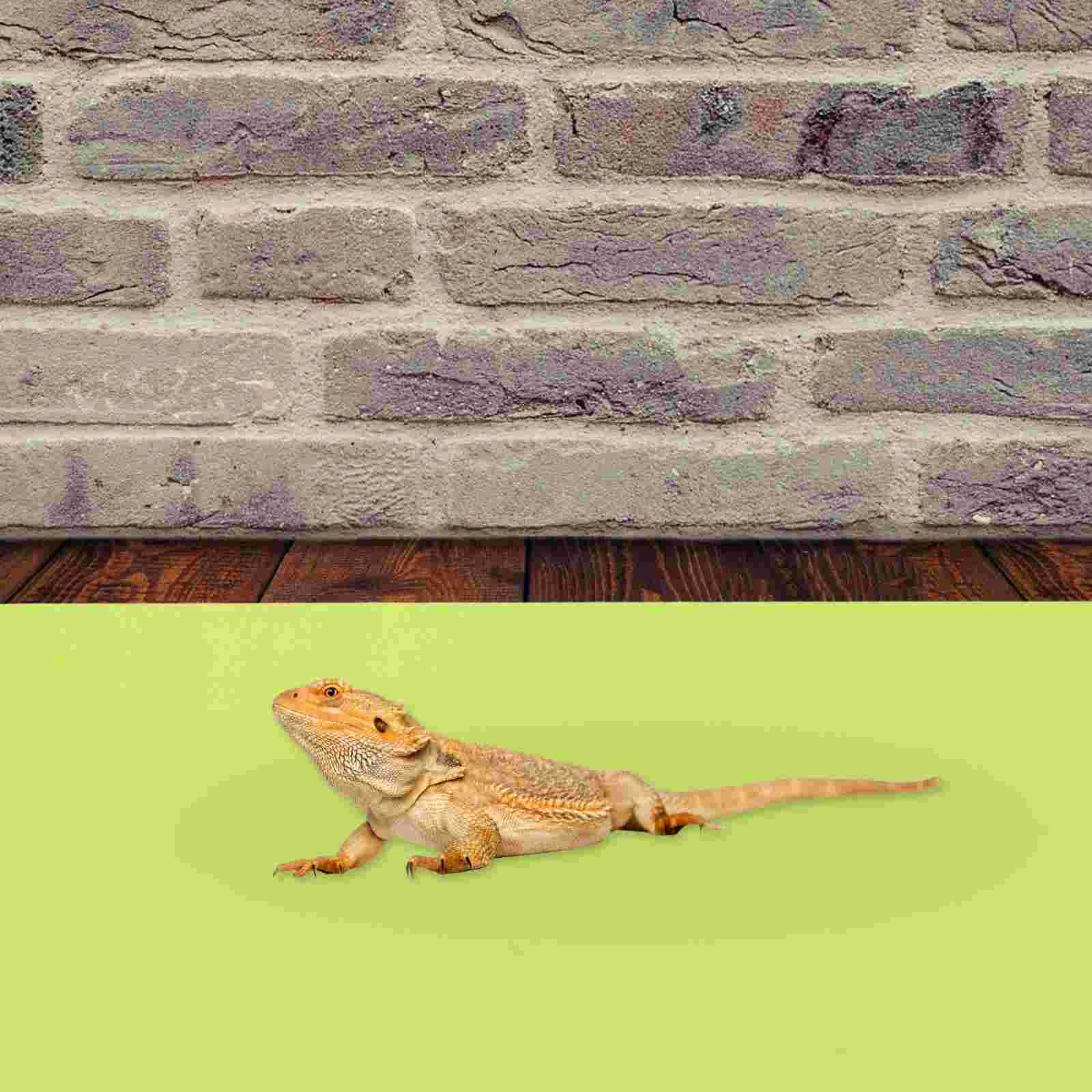 

Foldable Reptile Mat Terrarium Bedding Reptile Terrarium Pad Reptile Terrarium Mat for Reptiles