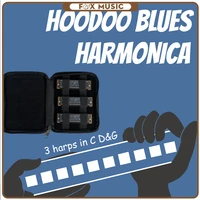 10 holes hoodoo blues harmonica 3 harps in c dg tone harmonica set mouth organ woodwind musical instrument melodica