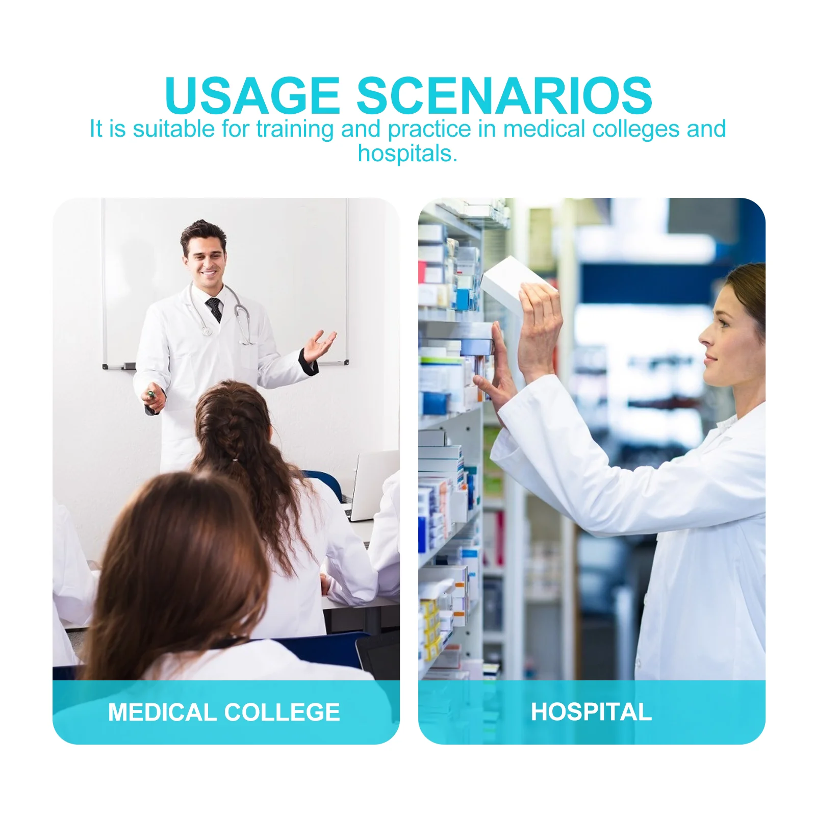 Рисунок 2 - Динамическая модель кровяного липида