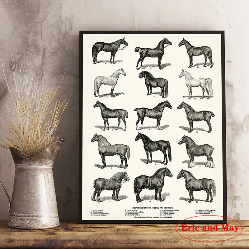 

Canvas Art Painting Posters Wall Pictures Horse Breeds Types Print Equestrian Farmhouse Decor Chart Vintage Retro kraft