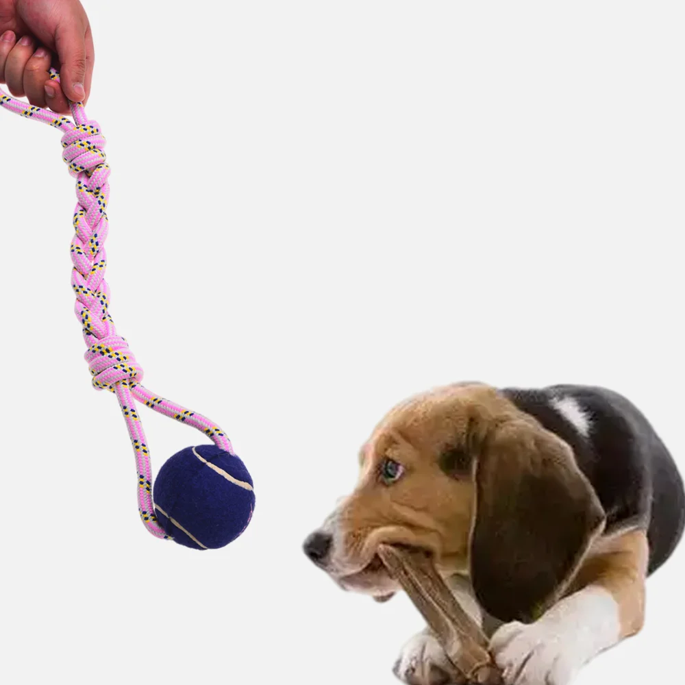 

Latest dog toys, chew toys, interactive, dog accessories, bite resistant, puppy accessories, cleaning teeth pet toy