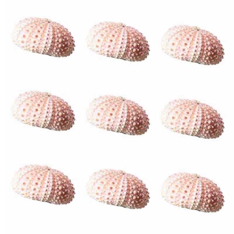 

9PCS Small Ornaments Of Sea Shells And Sea Urchin Shells (Excluding Plants)