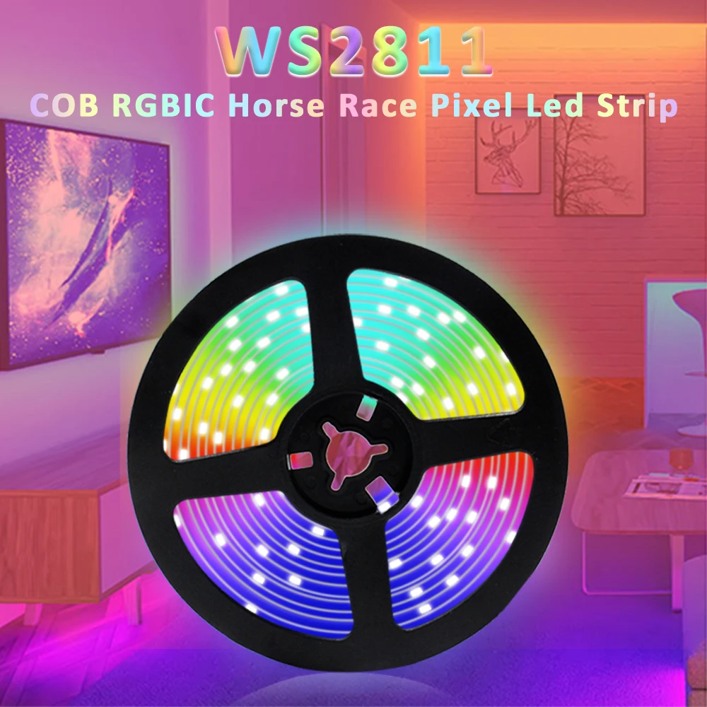 RGB IC LED COB Horse Race Strip Light WS2811 Addressable Dream Full Color 24V 5M High Bright Flexible Pixel FOB Linear Tape Lamp