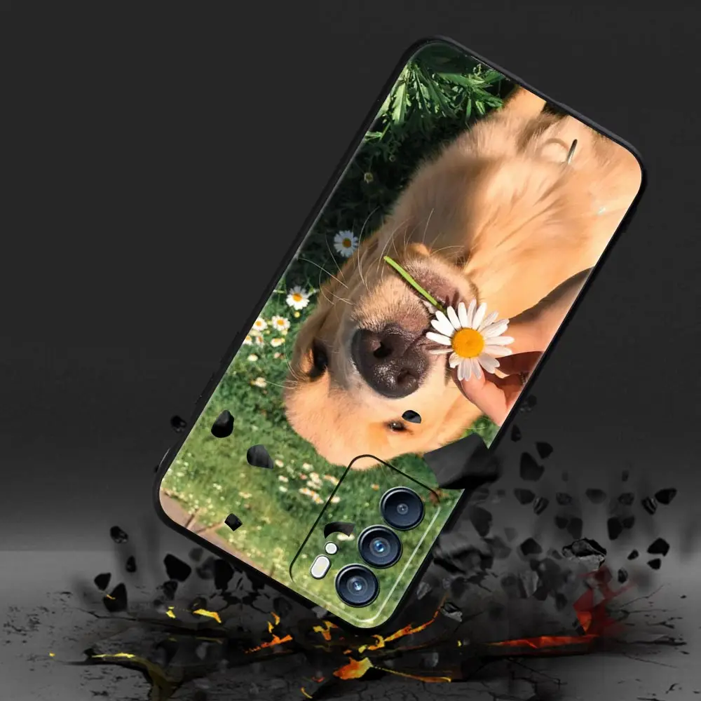 Фото Чехол для телефона Oppo Find X6 Pro X5 Reno7 Reno6 Pro 5G A54 A53 A52 A9 A15 A95 A17 A16 A74 A57 A31 Cover Labrador Retriever dog №3
