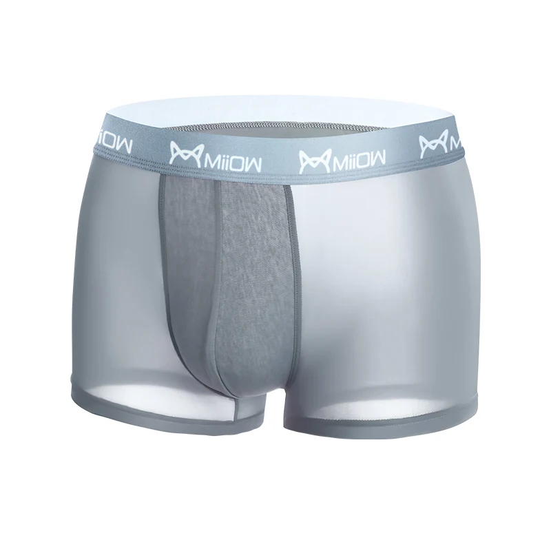 MiiOW 3Pcs Sexy Men Underwear Boxer Underpants Comfort Polyester Transparent Trunks Men's Panties Breathable Bxoers For Men New