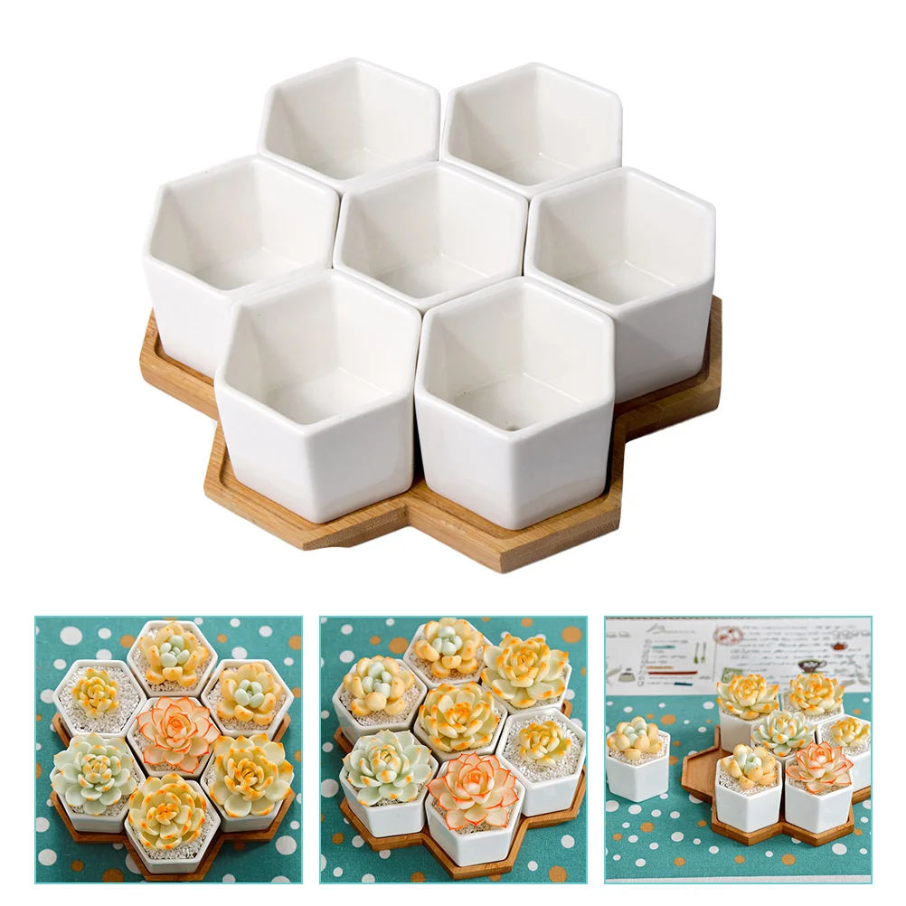 

1 набор простых держателей для суккулентов, креативный шестиугольный альбом