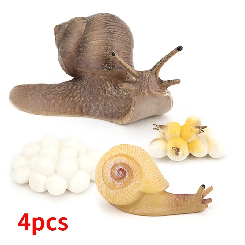 

Realistic Snail Growth Cycle Figure Animal Model Life Cycle of Snail Figures Miniature Garden Decor Collector Educational Toys