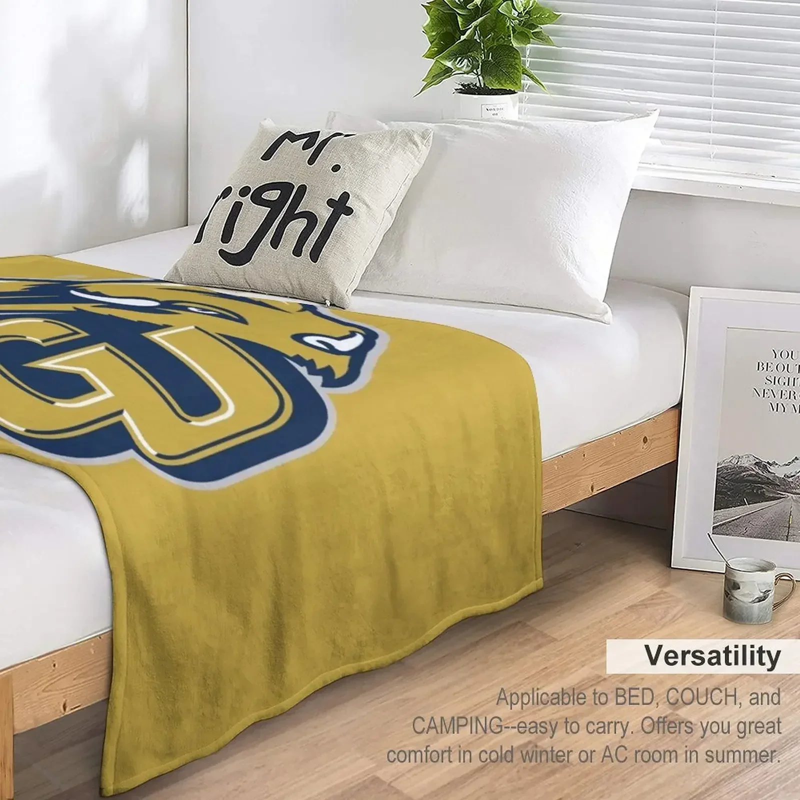 Gallaudet University Bizon Плед Свободные декоративные диваны Furrys Роскошные дизайнерские