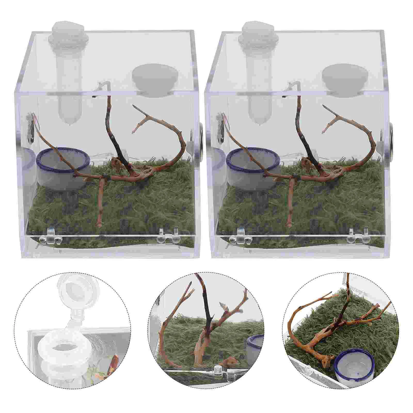 Стеклянный ящик для разведения паука мини-увлажнитель клетка-ловушка акриловый