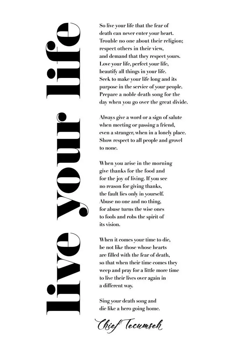 

Винтажный металлический знак Tecumseh, жестяные таблички, Настенный декор, украшение для комнаты в стиле ретро для художественного кафе, паба, д...