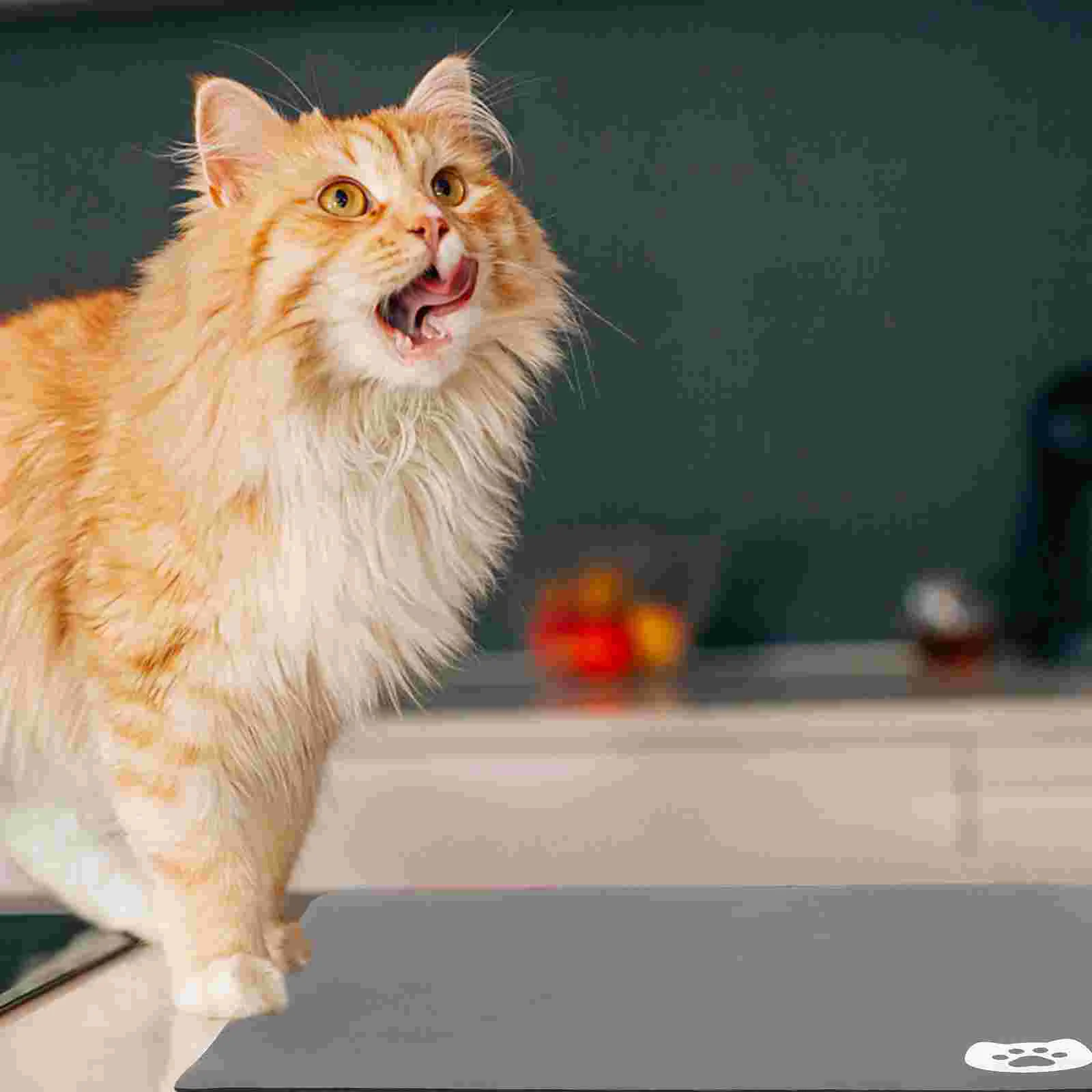 

Pet Feeding Mat Water Dispenser Mat No Stains Pet Mat Pet Supplies for Home