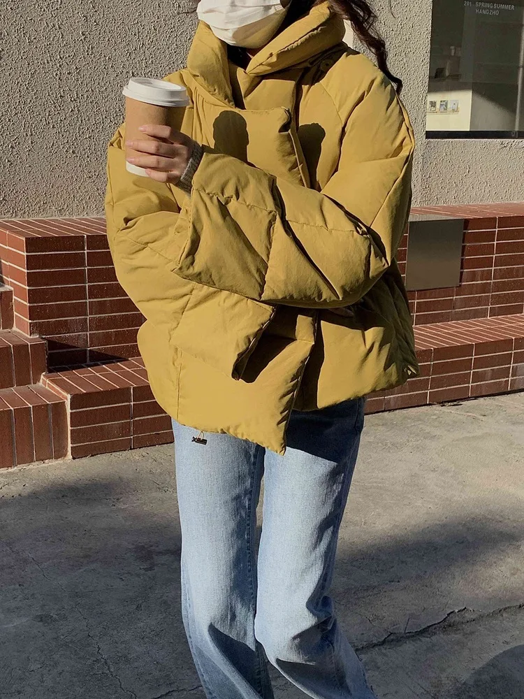 Korean Version of The Loose Stand Collar Thickened Down Jacket Women's Winter Small Popular New Thin Short Jacket Puffer Jacket