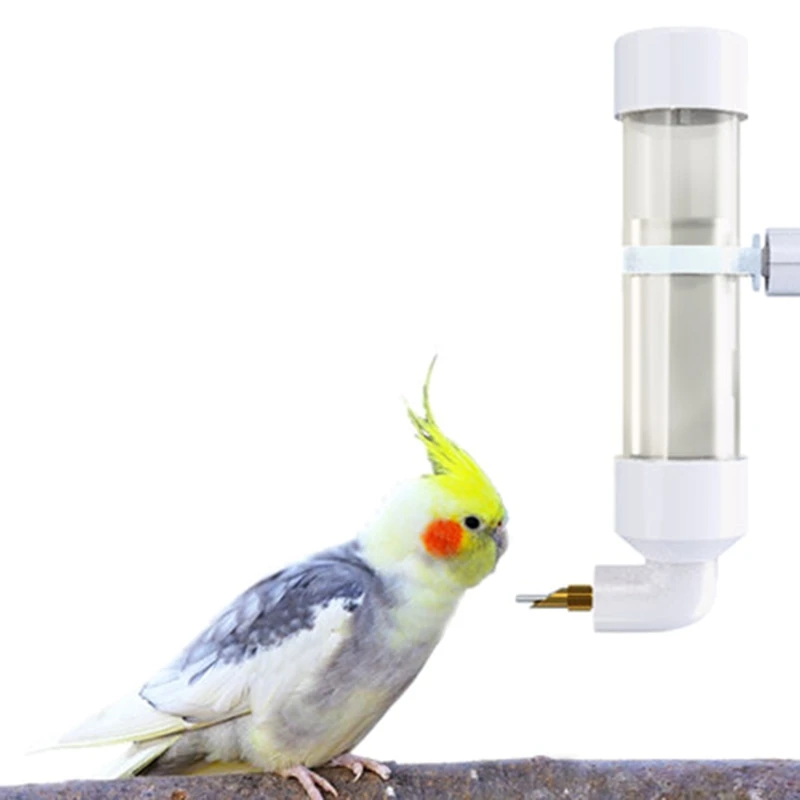 Animals Water Bottle Ideal for Hamsters Mice Guinea Pigs & Rabbits Top Fill No Drip Parrot Water Bottles for Bird Cage