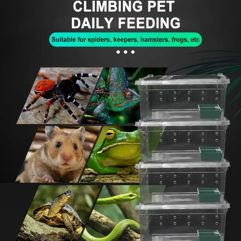 Прозрачная пластиковая коробка для кормления рептилий клетка среды обитания
