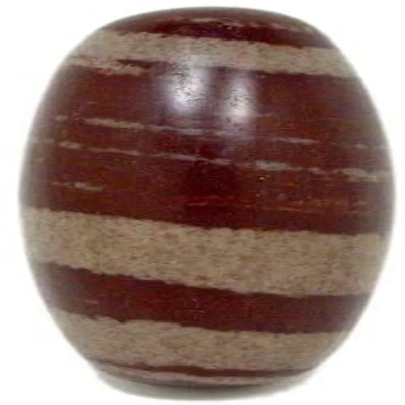 

Shiva Lingam Stone из реки Нарада, BASILOSAURUS