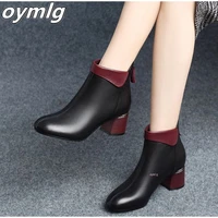 women ankle boots pumps shoes winter autumn ladies plush warm high heels pu leather fashion pointed toe zip short female