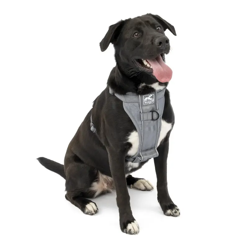 

Tru-Fit Smart Harness - QR, Grey, L