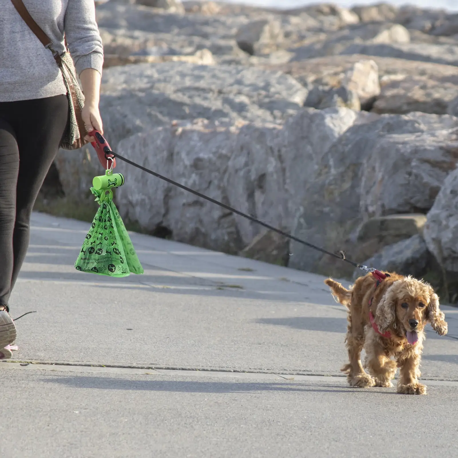 

Dog Poop Waste Bags Doggy Waste Bag Dispenser Waste Bag Dispenser For Leashes Pet Cleaning Supplies Leak-Proof 1 Trash Box And 1