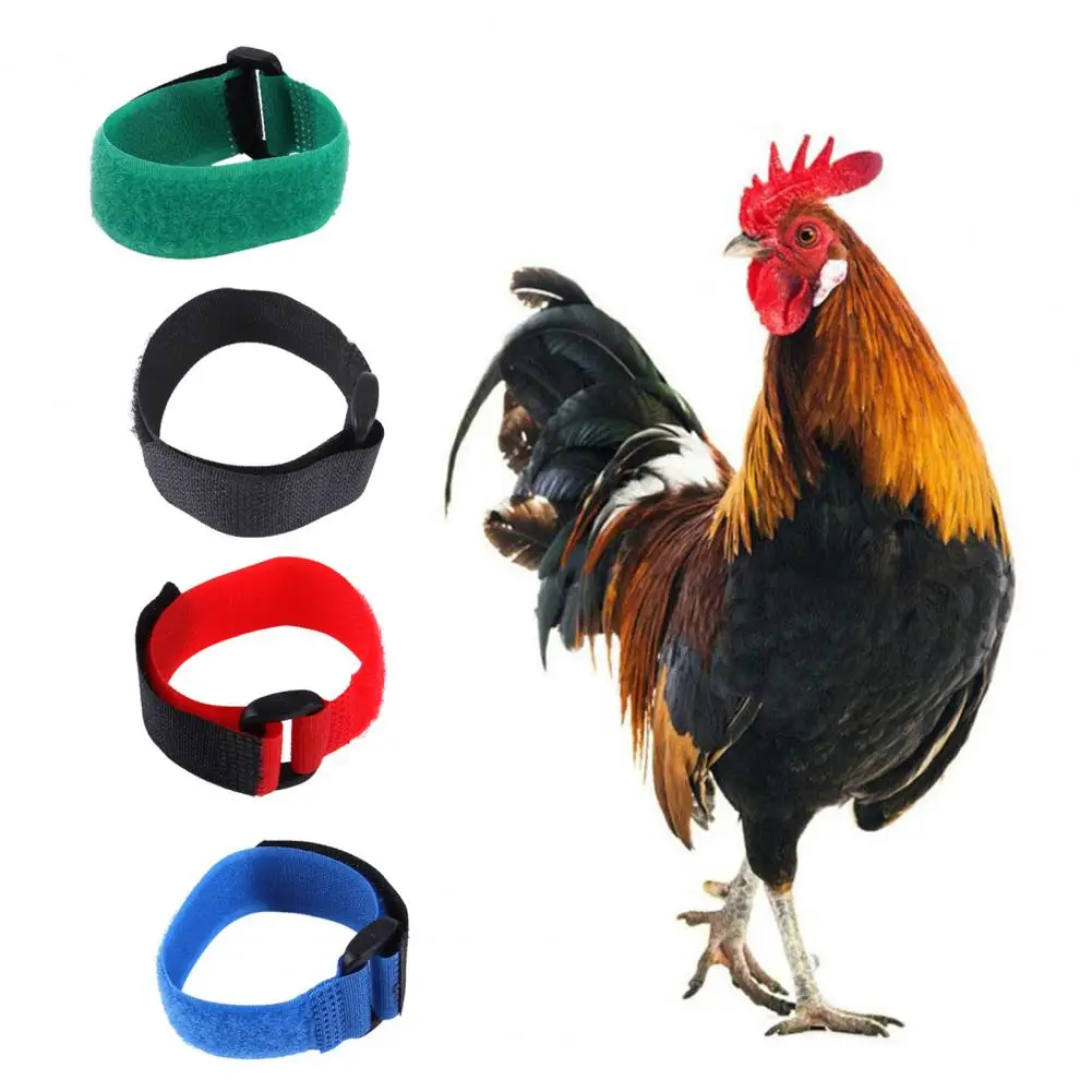 

2Pcs Rooster Collar Super Soft Wear Resistant Nylon Fade-resistant Rooster Poultry Collar for Goose