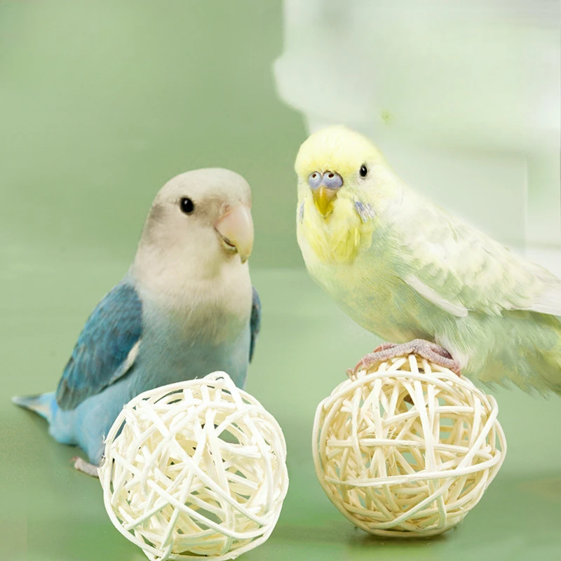 Budgerigar ротанговый шар грызующие игрушки дрессировка зубов обучение умному