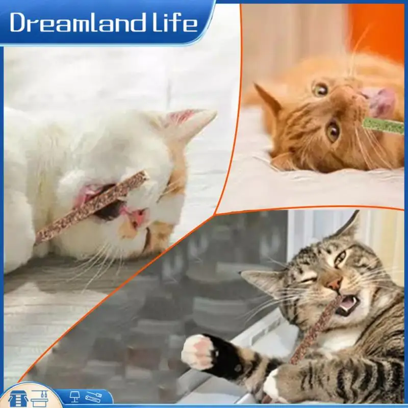 

Захватывающие игрушки хомяк товары для кошек морская свинка игрушки Кролик морские свинки аксессуары Игрушка для кошек