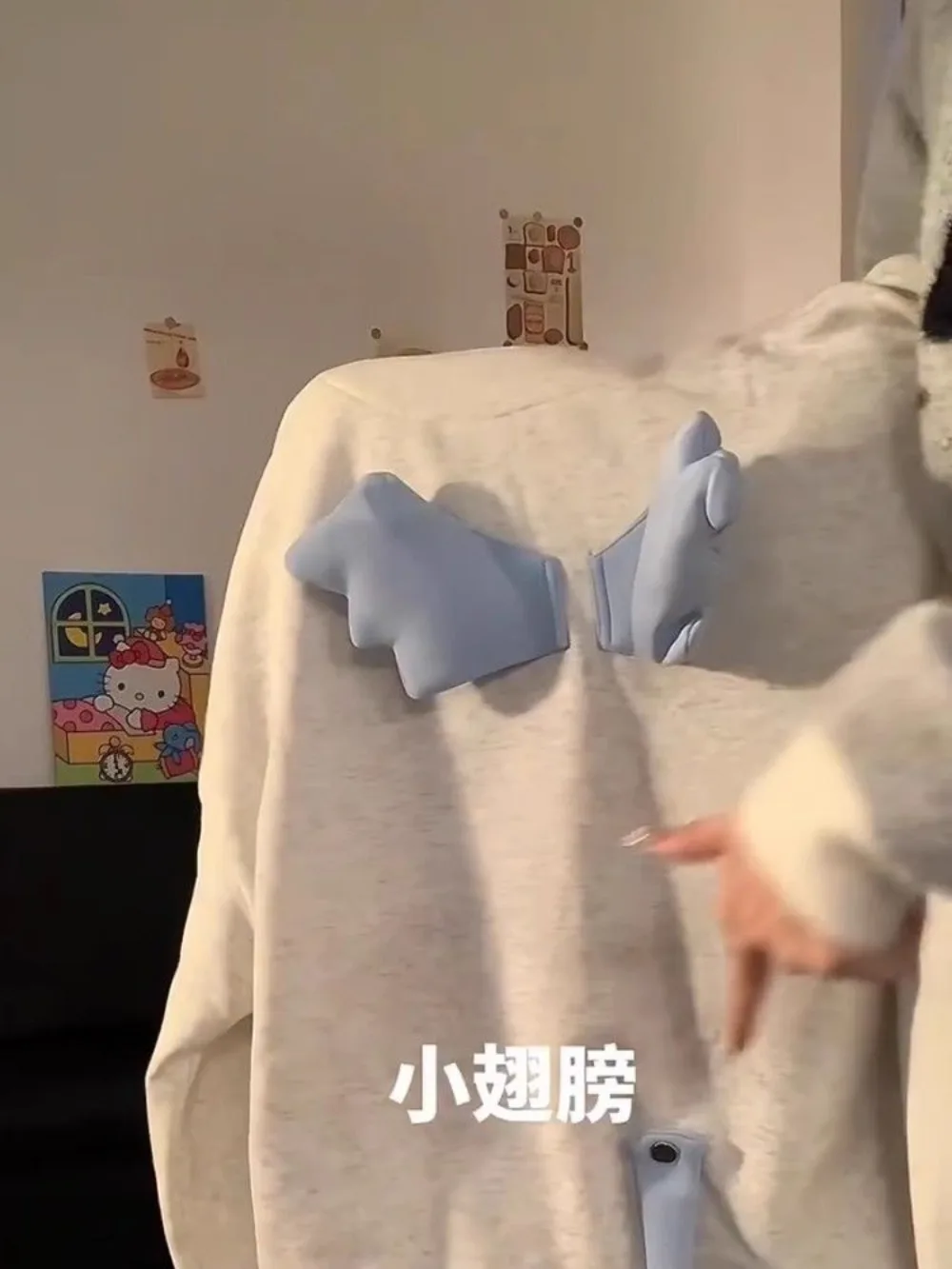 Рисунок 5 - Толстовка с капюшоном для мужчин и женщин